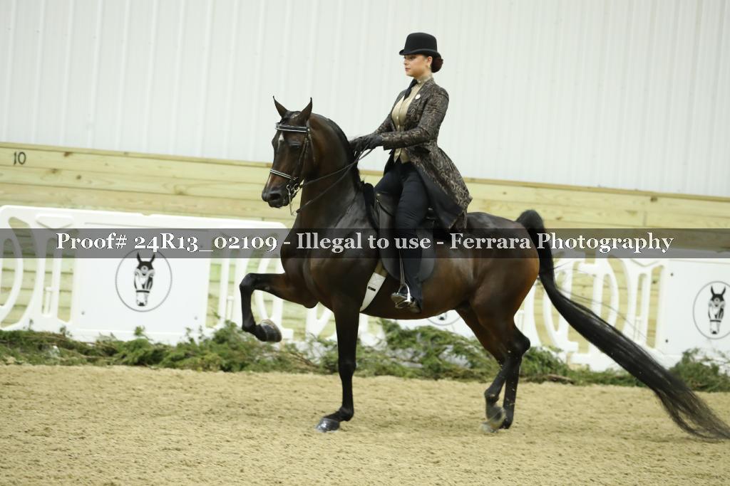 Proof Number 24R13_02109