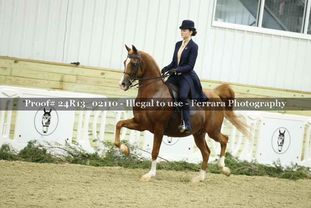 Proof Number 24R13_02110