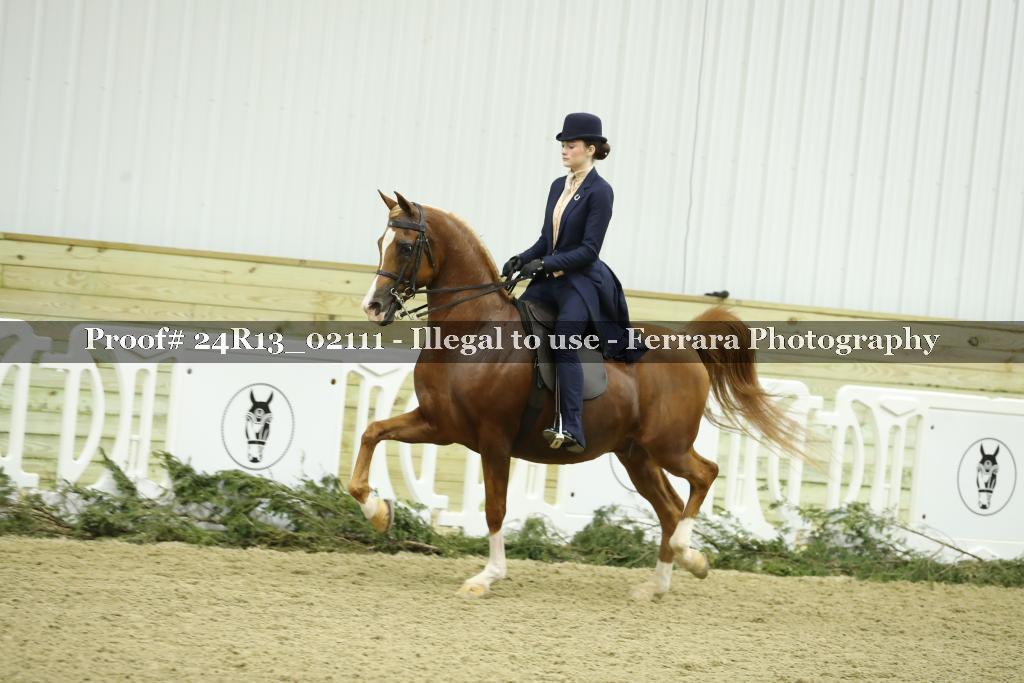 Proof Number 24R13_02111
