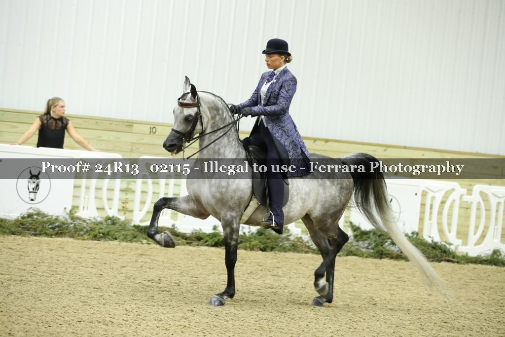 Proof Number 24R13_02115