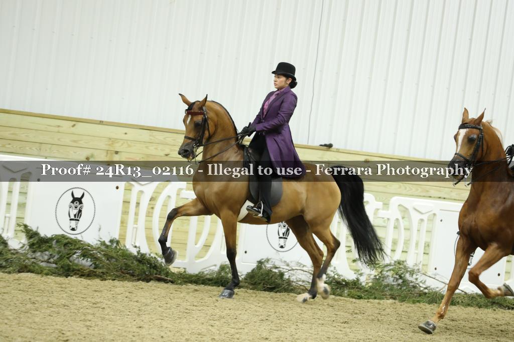 Proof Number 24R13_02116