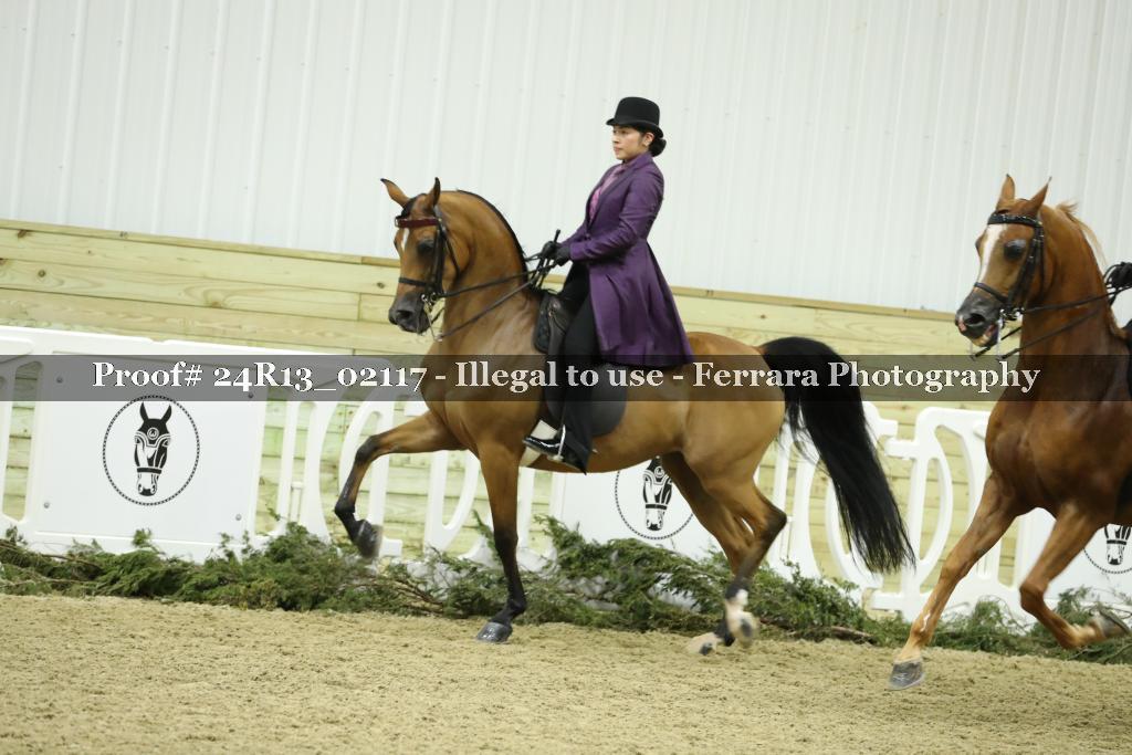 Proof Number 24R13_02117