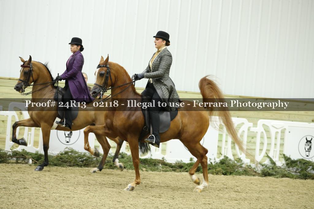 Proof Number 24R13_02118