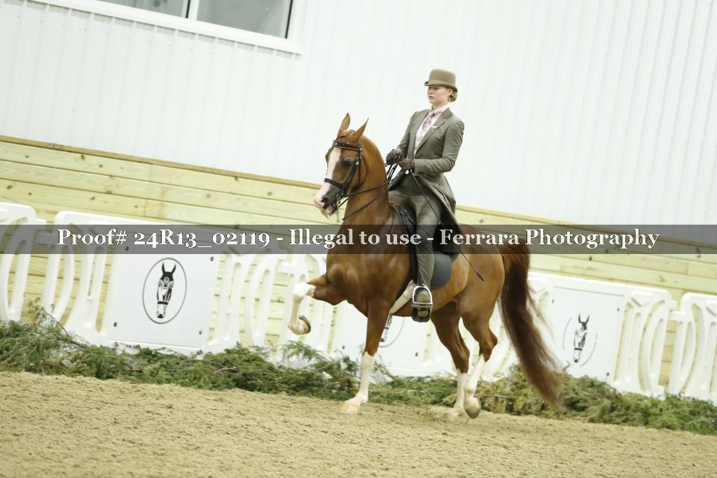Proof Number 24R13_02119