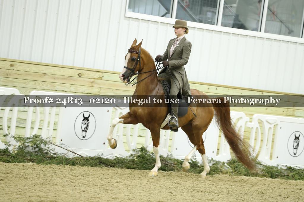 Proof Number 24R13_02120