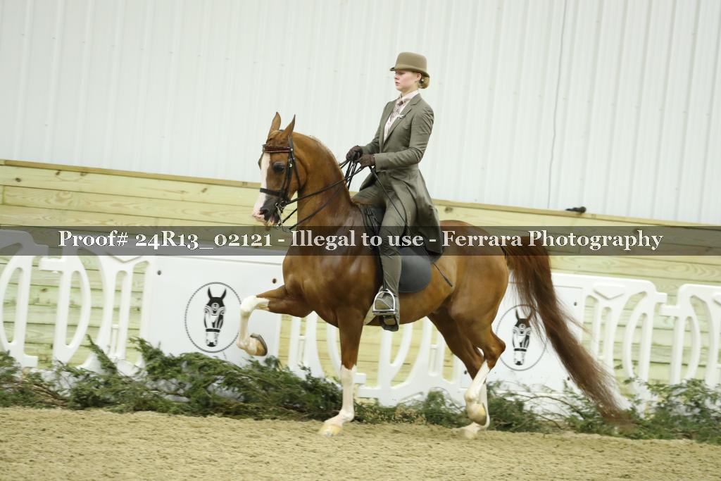 Proof Number 24R13_02121