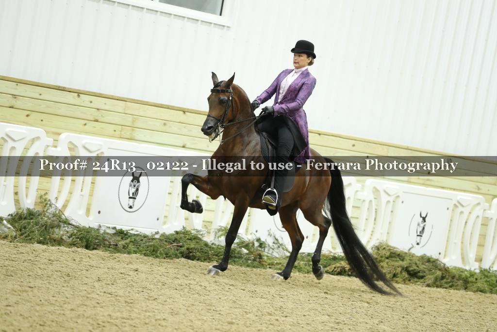 Proof Number 24R13_02122