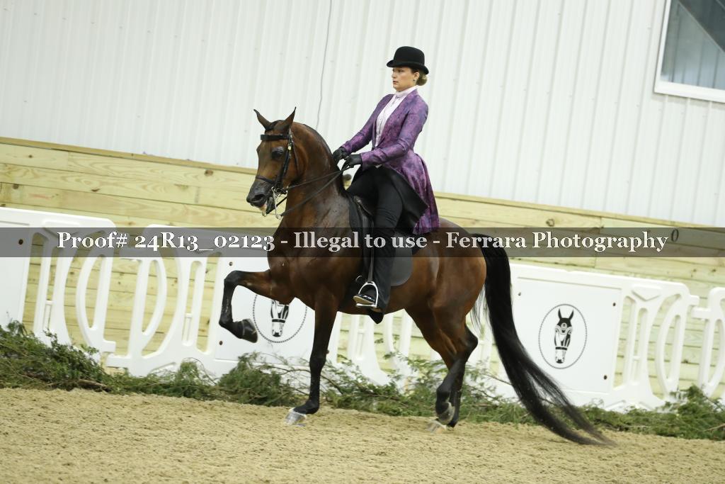 Proof Number 24R13_02123