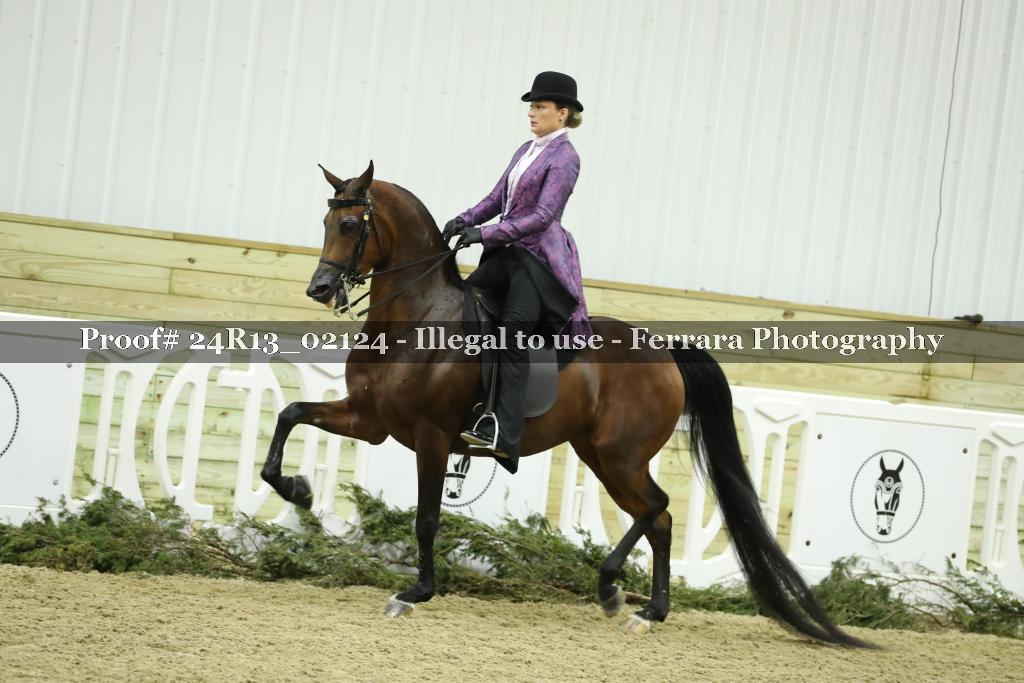 Proof Number 24R13_02124
