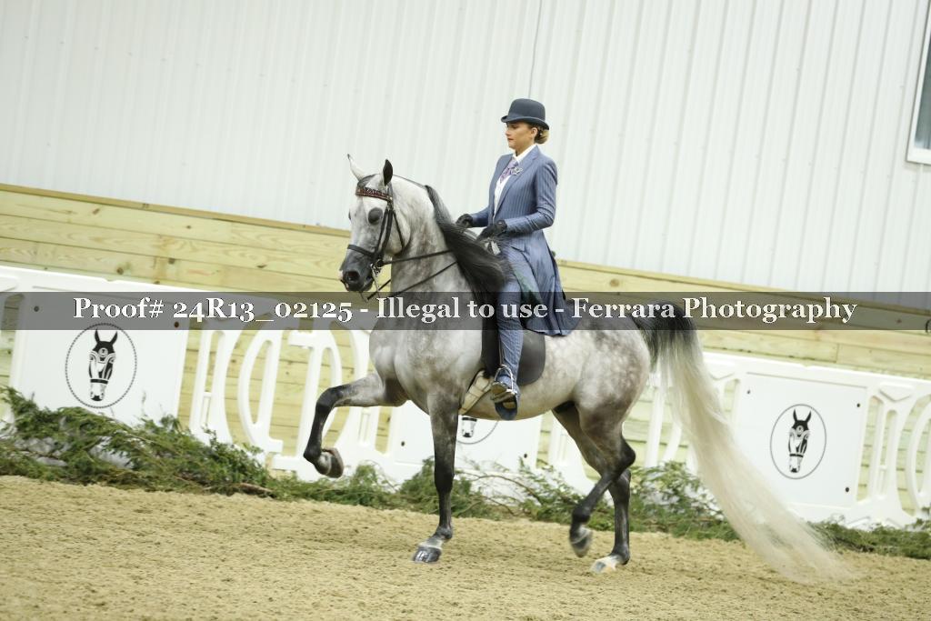 Proof Number 24R13_02125