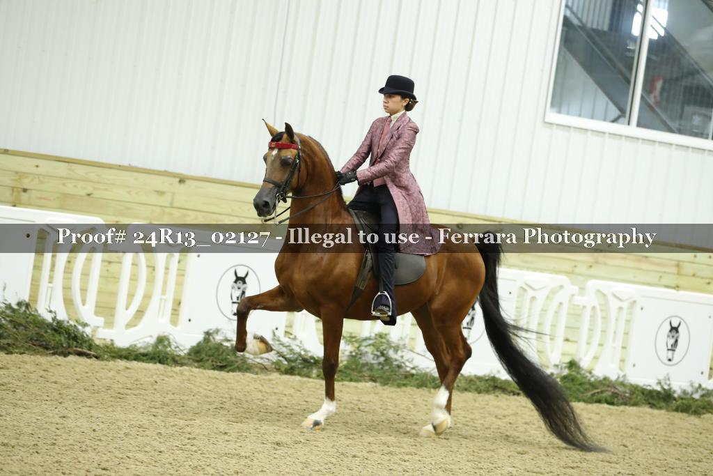 Proof Number 24R13_02127