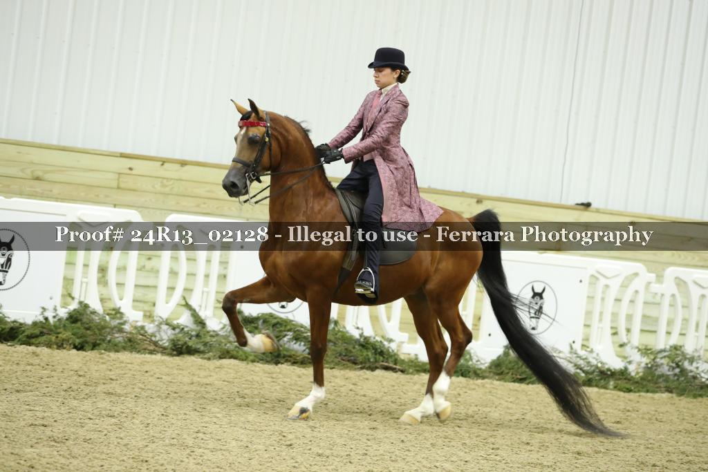 Proof Number 24R13_02128