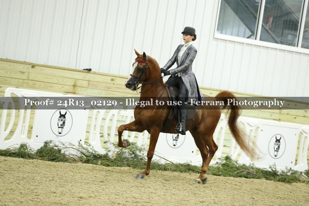 Proof Number 24R13_02129