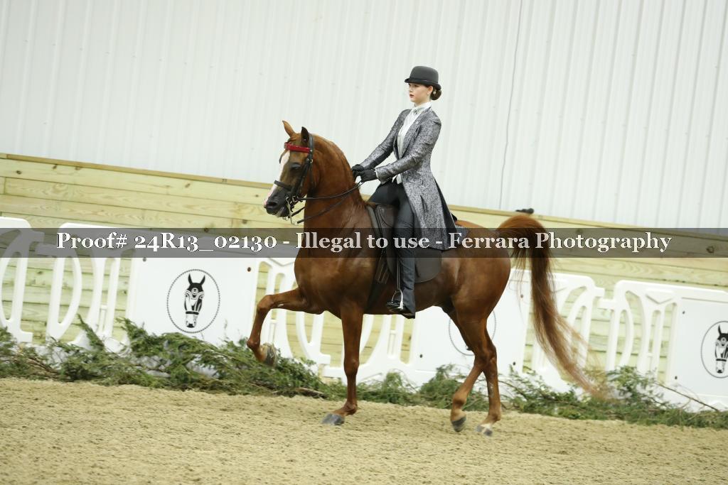 Proof Number 24R13_02130