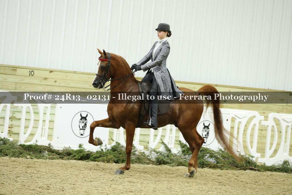 Proof Number 24R13_02131