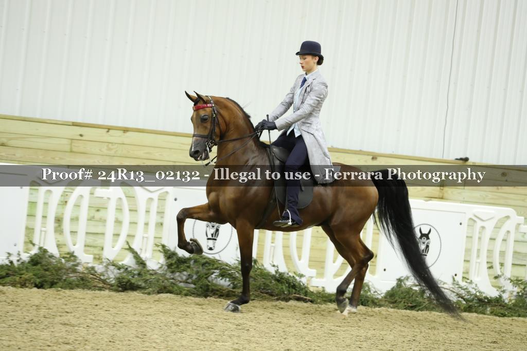 Proof Number 24R13_02132