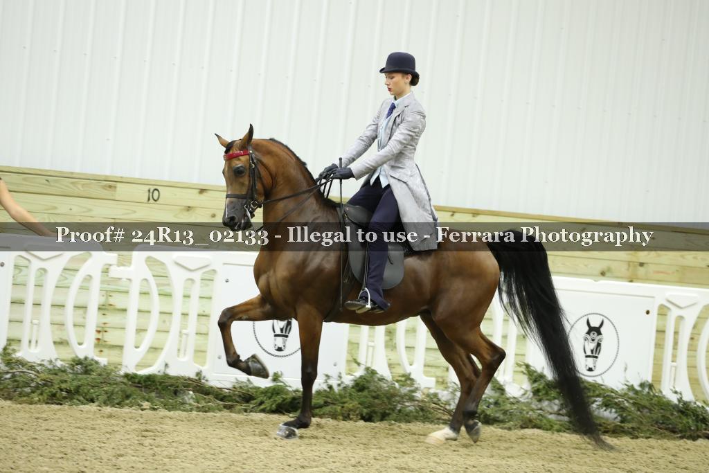 Proof Number 24R13_02133