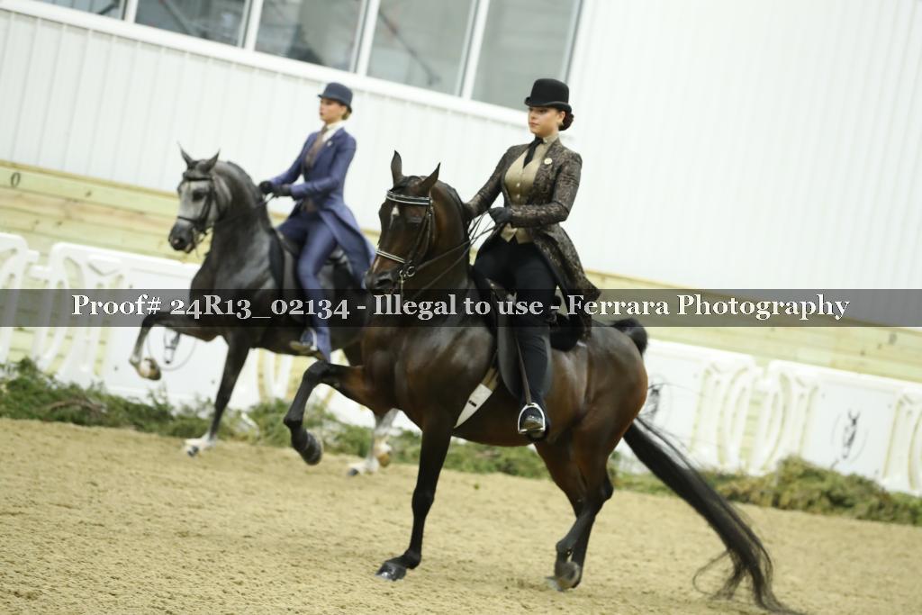 Proof Number 24R13_02134