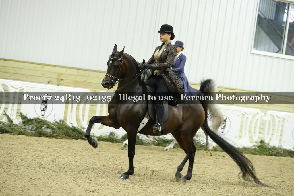 Proof Number 24R13_02135