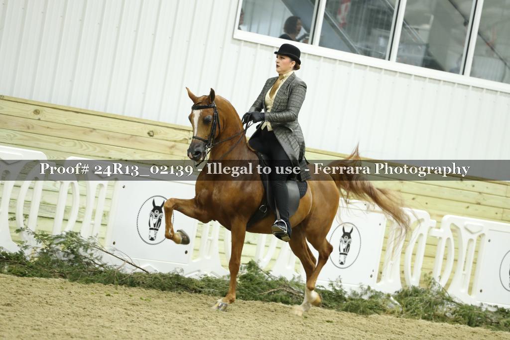 Proof Number 24R13_02139