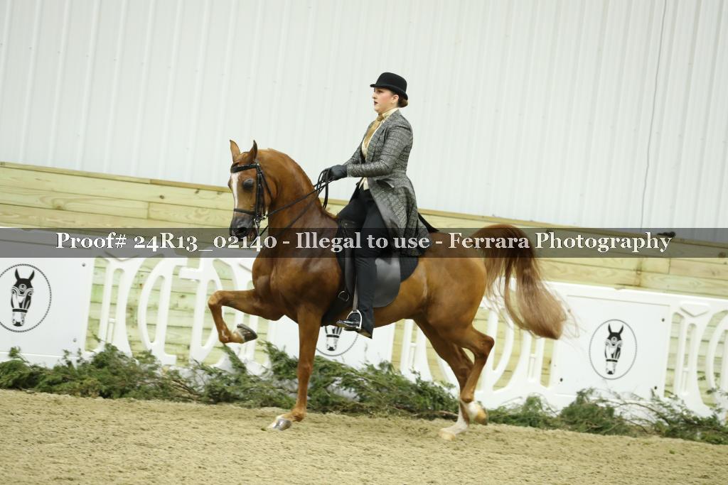 Proof Number 24R13_02140