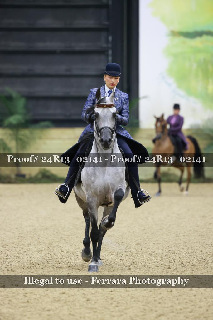 Proof Number 24R13_02141
