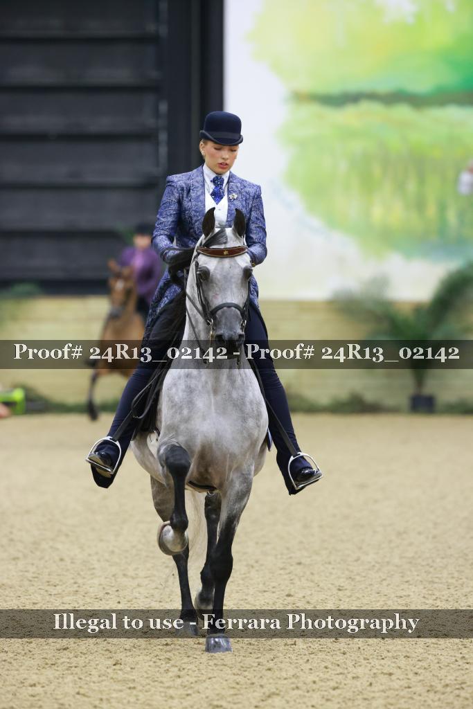 Proof Number 24R13_02142