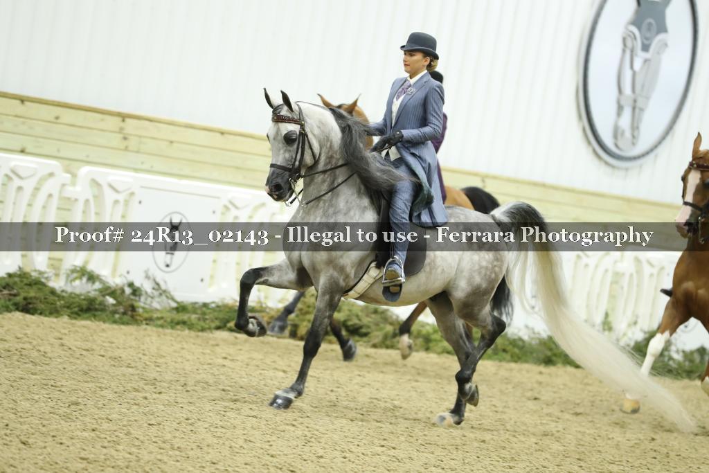 Proof Number 24R13_02143