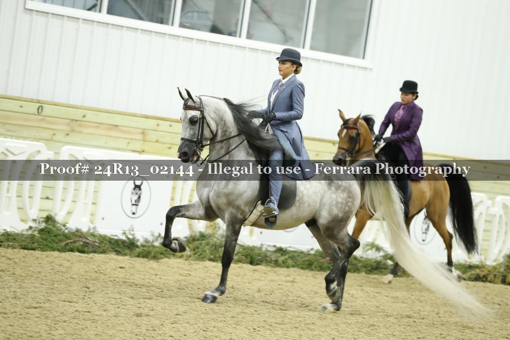 Proof Number 24R13_02144