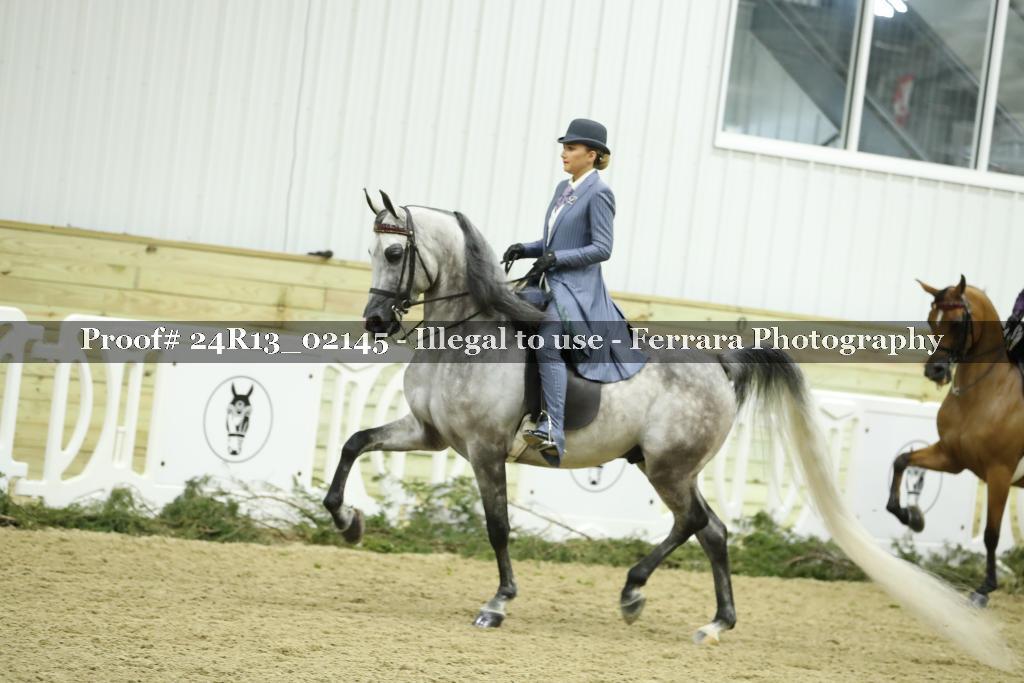 Proof Number 24R13_02145