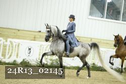 24R13_02145 thumbnail