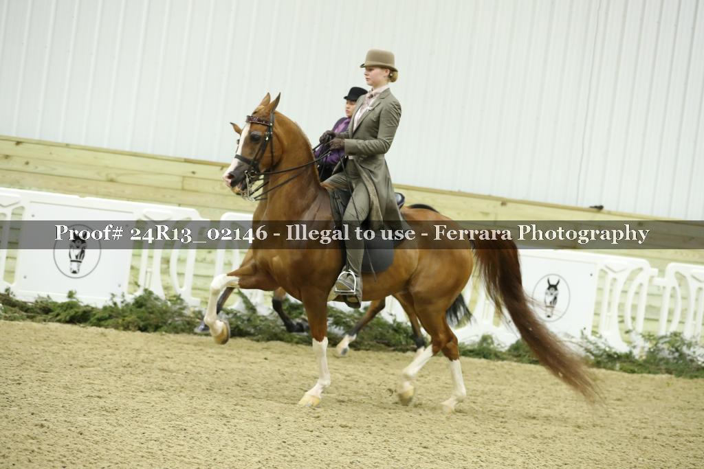 Proof Number 24R13_02146
