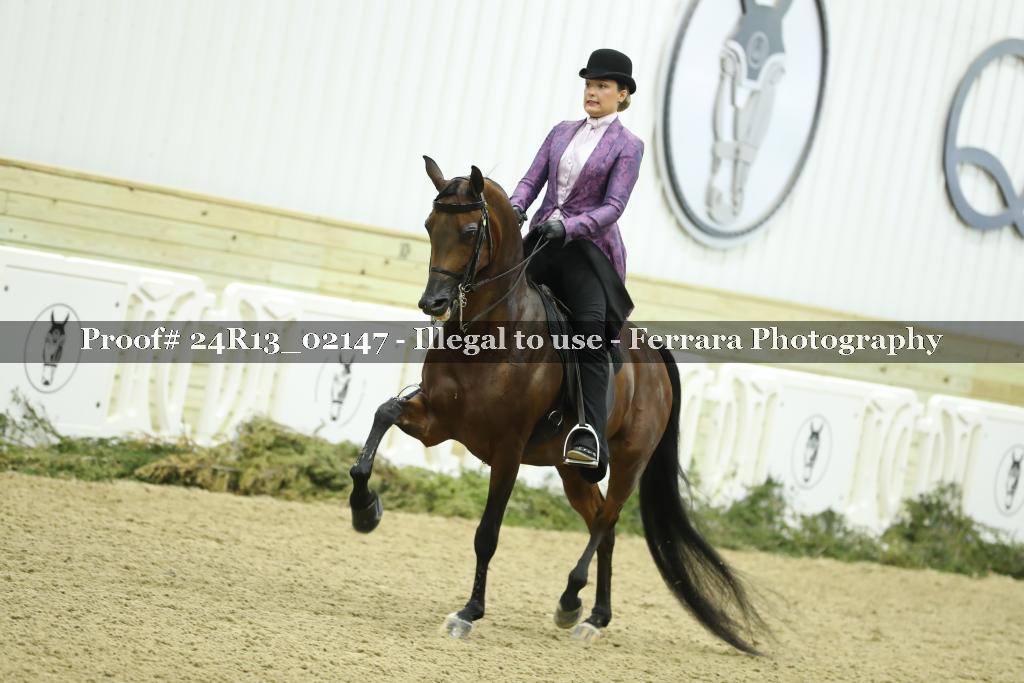 Proof Number 24R13_02147