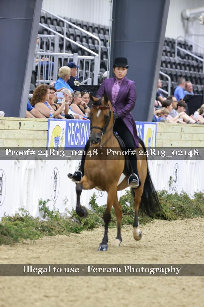 Proof Number 24R13_02148