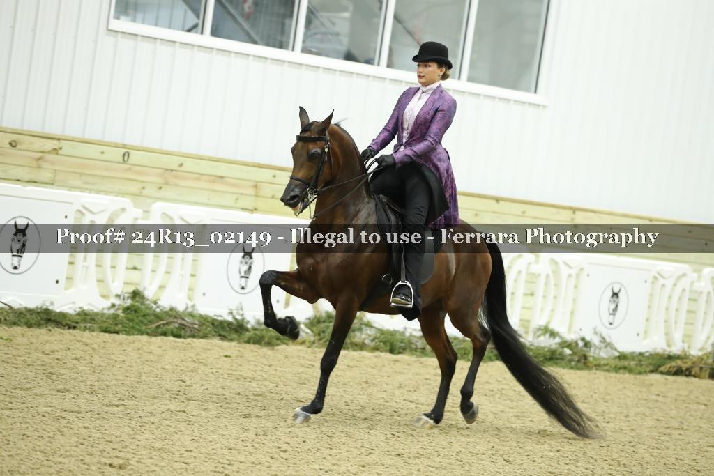 Proof Number 24R13_02149