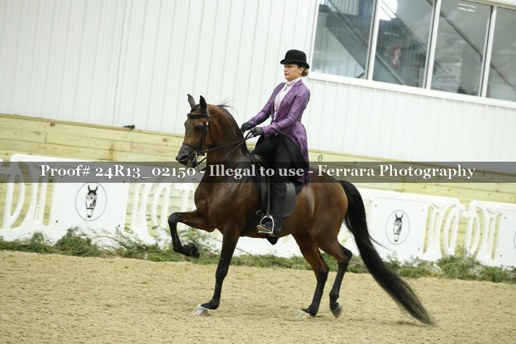 Proof Number 24R13_02150