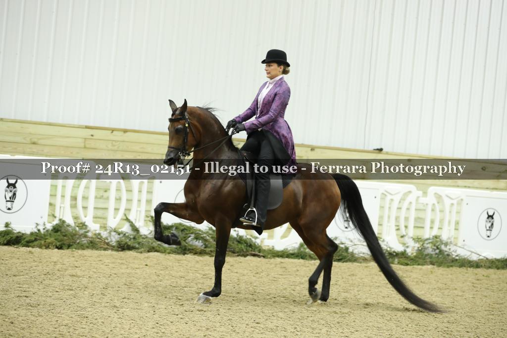 Proof Number 24R13_02151