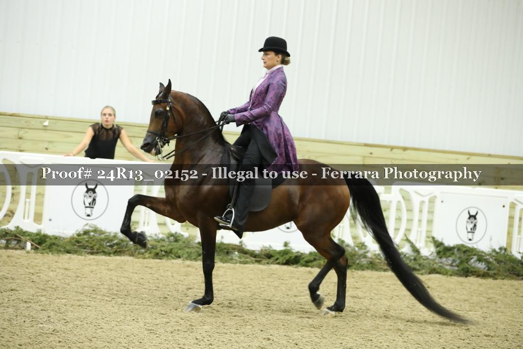 Proof Number 24R13_02152