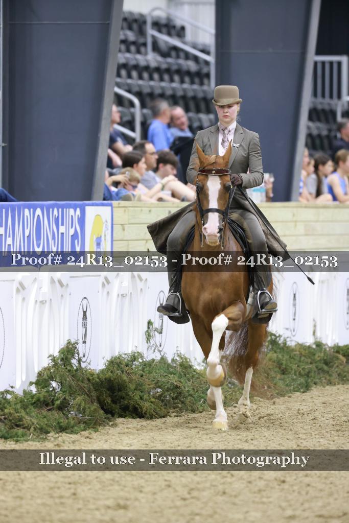 Proof Number 24R13_02153