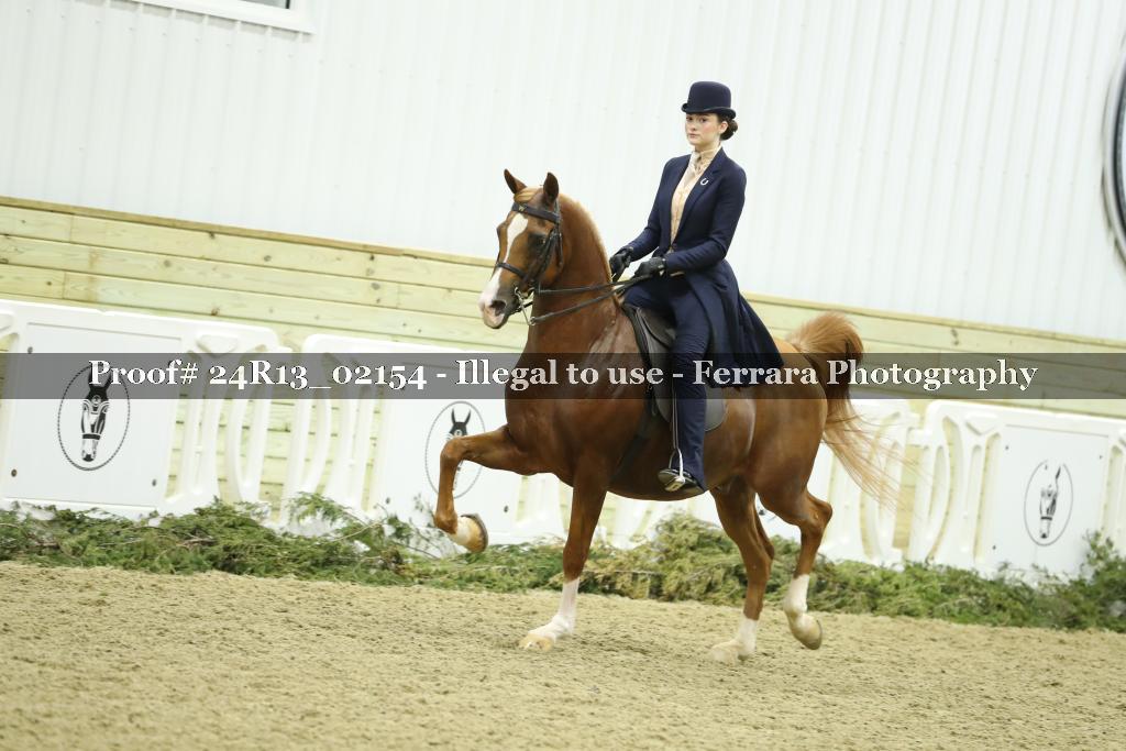 Proof Number 24R13_02154