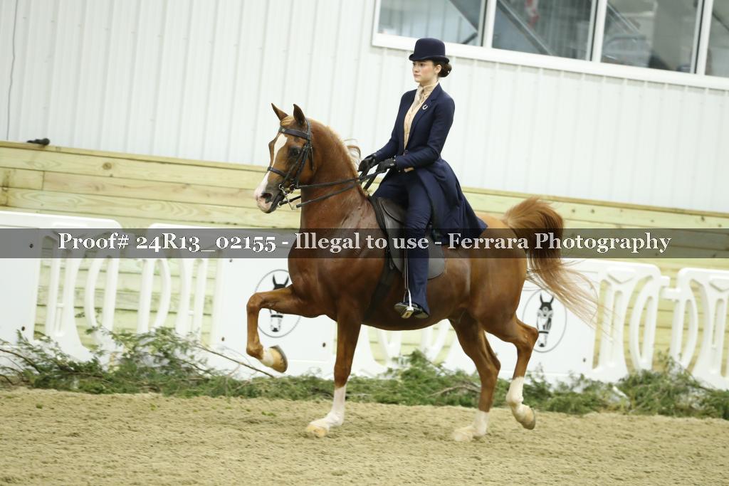 Proof Number 24R13_02155
