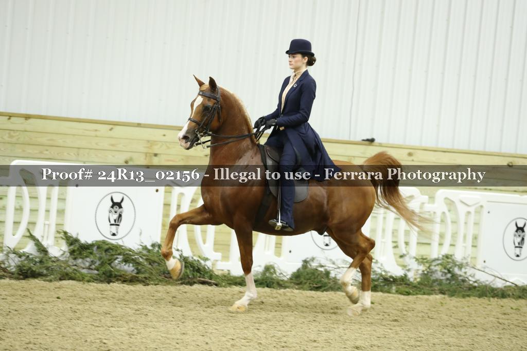 Proof Number 24R13_02156