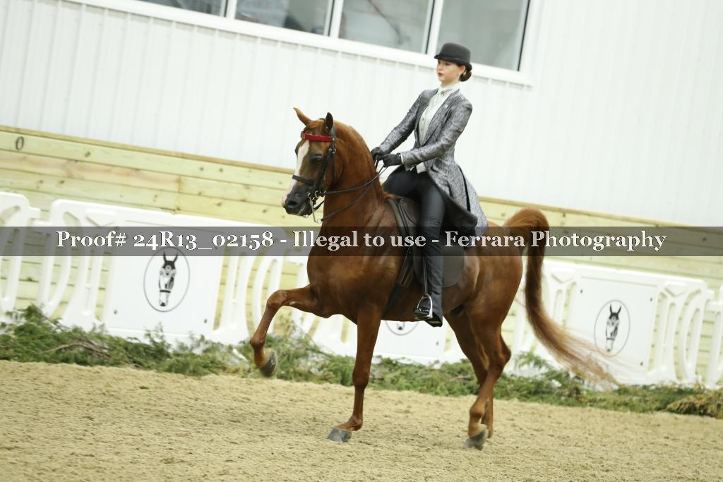 Proof Number 24R13_02158