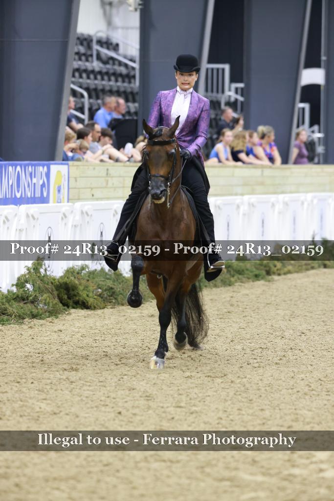 Proof Number 24R13_02159