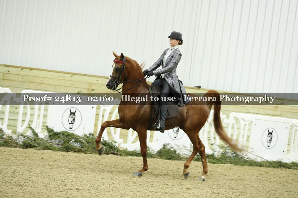 Proof Number 24R13_02160