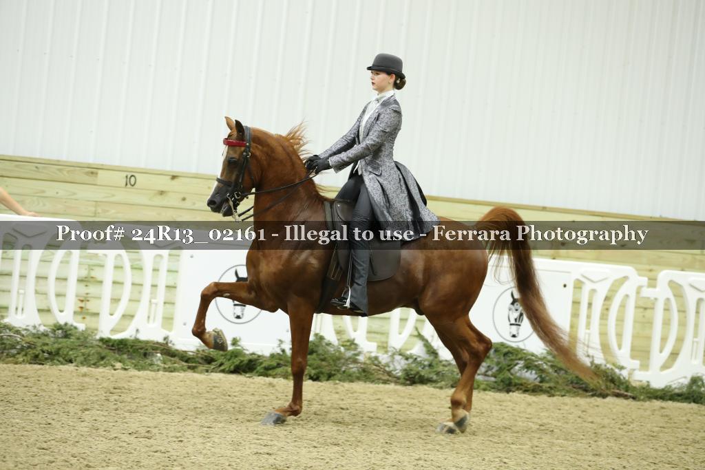 Proof Number 24R13_02161