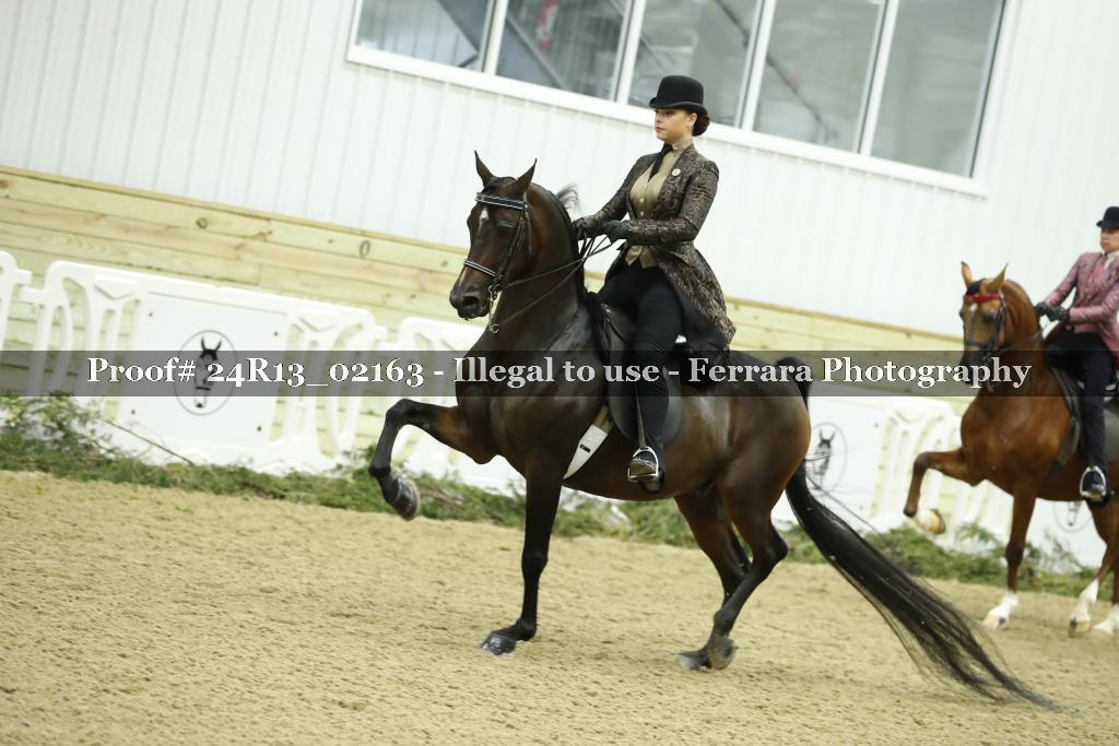 Proof Number 24R13_02163