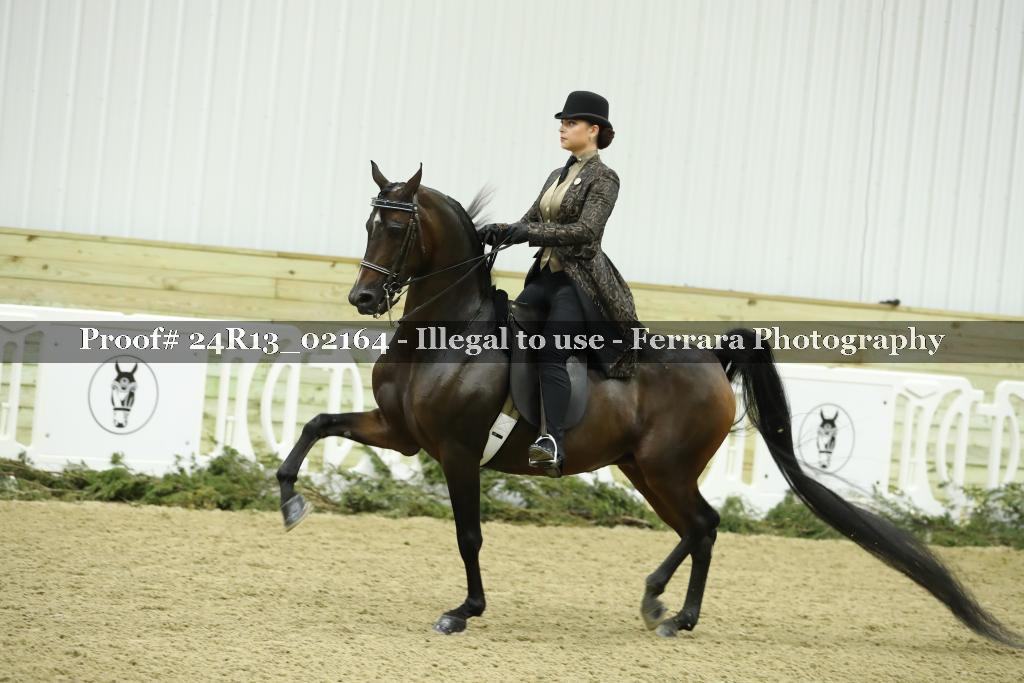 Proof Number 24R13_02164