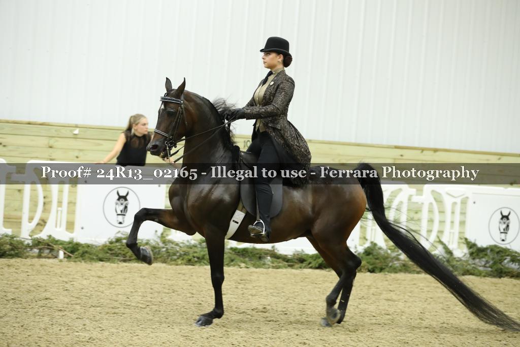 Proof Number 24R13_02165