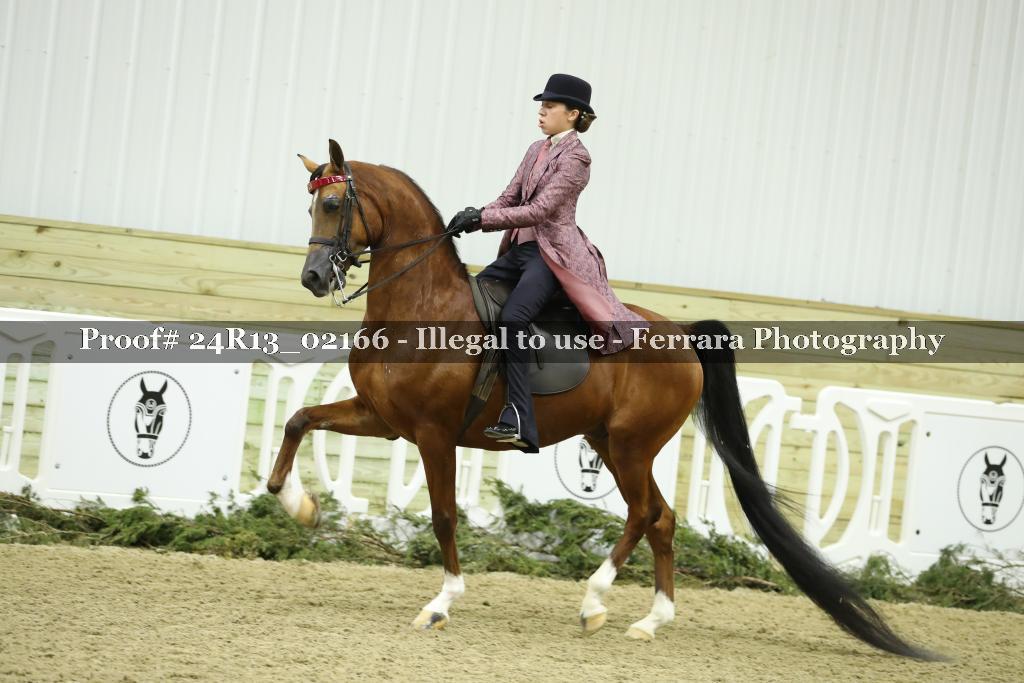 Proof Number 24R13_02166